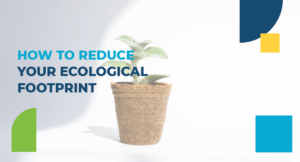 Read more about the article How to reduce your ecological footprint