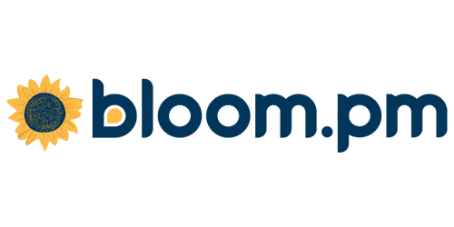 website logo size