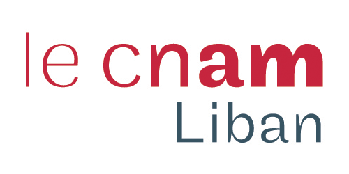 website logo size2